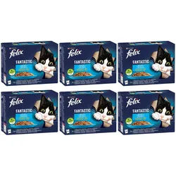 FELIX Fantastische Fisch-Gelee-Geschmacksrichtungen: 72x85g