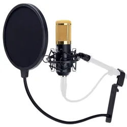 Pronomic CM-100BG Studio Großmembran-Mikrofon & Popschutz