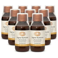 Ingwer Kurkuma Konzentrat