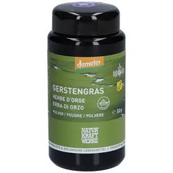 Naturkraftwerke Gerstengras Pulver