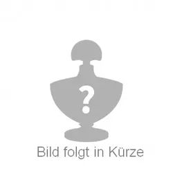 Accentra Botanic Spa Schaumbad 300ml FL Blaubeere