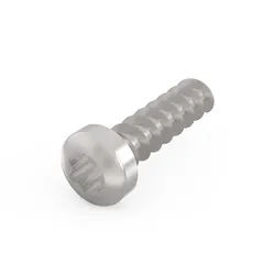 SCHROFF LIKOSCHR-Torx.2.5X9.3 100ST