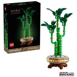 LEGO Botanicals 10344 Glücks-Bambus 10344