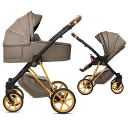 TPFFamily Kombi-Kinderwagen 2in1 Musse Royal, Baby Buggy Babywanne 5-Punkt-Sicherheitsgurt, Zubehör-Set Kinderwagen 2 in 1 Kunstleder Grau, Gestell Gold grau