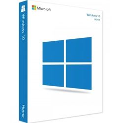Microsoft Windows 10 Home (Online Aktivierung)
