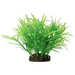 Decorative plant 10cm