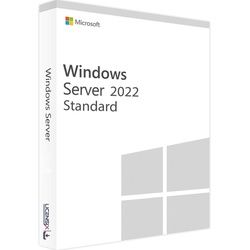 Microsoft Windows Server 2022 Standard