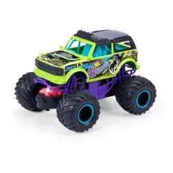 Wild Bronco