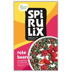 Spirulix Knuspermüsli Rote Beeren Müsli 300 g