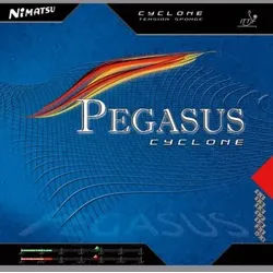 Nimatsu Belag Pegasus Cyclone schwarz 1,7