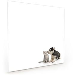 Primedeco Küchenrückwand Küchenrückwand Spritzschutz Glas mit Motiv Hund küsst Katze 70 cm x 70 cm