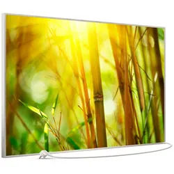 STEINFELD Heizsysteme Infrarotheizung Bild 900W, 120x74cm, Made in Germany, 7J Garantie, mit Thermostat, viele Motive silberfarben