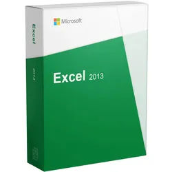 Microsoft Excel 2013
