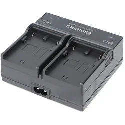 AccuCell Dual-Ladegerät für Digi-Cam-Akku Canon BP-915, BP-945, BP-970G u.a. - 1 A, 4.2/8.4 V