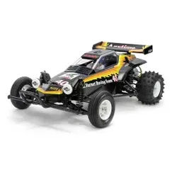 1:10 RC Hornet EVO.