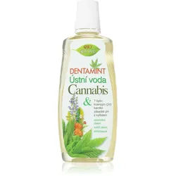 Bione Cosmetics Dentamint Cannabis Mundspülung 500 ml