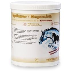 EquiPower Magnesium Pulver 750 g