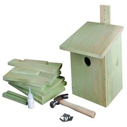 esschert design Nistkasten BASTELSATZ NISTKASTEN Bausatz Bastelset Kinder Vogelhaus basteln Kohlmeise Holz