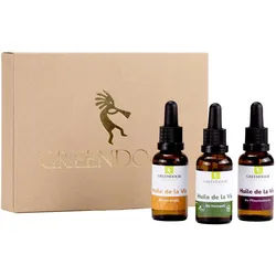 Greendoor Geschenk Set Huile de la Vie 90 ml