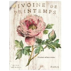 Artland Wandbild »Pfingstrose«, Blumen, (1 St.), als Leinwandbild, Wandaufkleber oder Poster in versch. Größen Artland pink