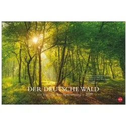 HEYE Wandkalender Der deutsche Wald - Ein literarischer Spaziergang Kalender 2027 -...