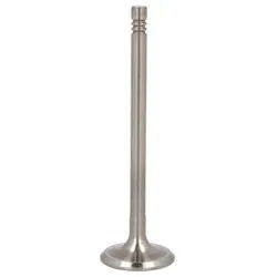 Einlaßventil PARADOWSCY PVOL088