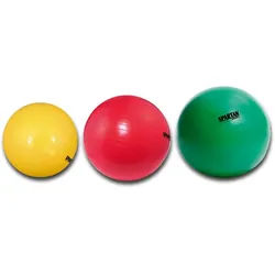 Spartan Sport, Gymnastikball, (95 cm)