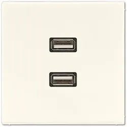 Jung Multimedia-Einsatz 2 x USB (weiß)