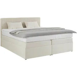 Boxspringbett Rossa in Beige ca. 160x200cm