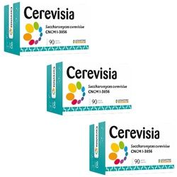 Cerevisia