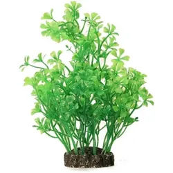 Decorative plant 15cm