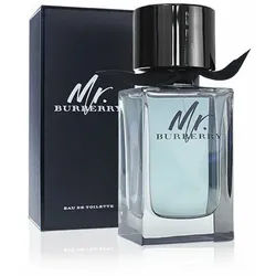 BURBERRY Eau de Toilette Mr. Edt Spray 50 ml