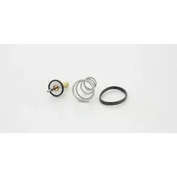 TRISCAN Thermostat, Kühlmittel 862043988 für Opel Vaughall Suzuki