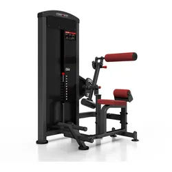 2-in-1 Rücken- und Bauchmaschine mit Gewichtsstapel MP-U220 - Marbo Sport