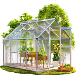 GARDEBRUK® Gewächshaus Aluminium 4,8m2 mit Fundament 250x190cm inkl. 2 Dachfenster