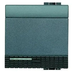 BTicino L4915/2 LivingLight Wippe 2M Anthrazit