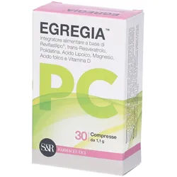 Egregia PC