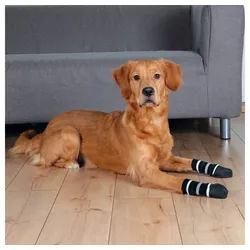 TRIXIE Pfotenschutz Hundesocken schwarz Größe: XL / 6 x 16 cm für z. B.: Deutscher Schäferhund