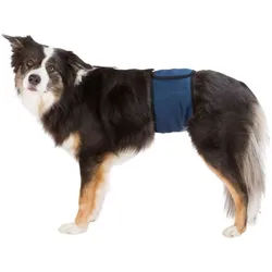 TRIXIE Windeln für Rüden, Mesh-Material, XL: 65–75 cm, dunkelblau