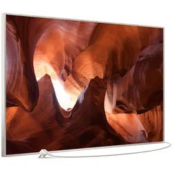 STEINFELD Heizsysteme Infrarotheizung Bild 900W, 120x74cm, Made in Germany, 7J Garantie, mit Thermostat, viele Motive silberfarben