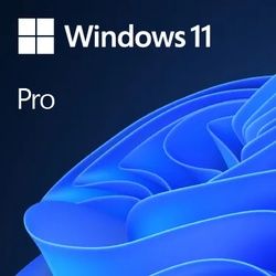 Microsoft Windows 11 Pro - Lizenz - 1 Lizenz - OEM - DVD