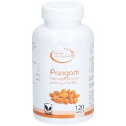 Hannes pure Lebenslust® Pangam B15