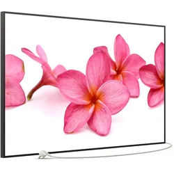 STEINFELD Heizsysteme Infrarotheizung Bild 900W, 120x74cm, Made in Germany, 7J Garantie, mit Thermostat, viele Motive schwarz
