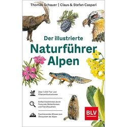SCHAUER, T: DER ILLUSTRIERTE NATURFÜHRER ALPEN - Sachbuch