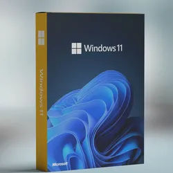 Microsoft Windows 11 Professional