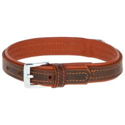 Kerbl Hunde-Halsband Halsband Vegas HQ 32 cm - 38 cm 82025