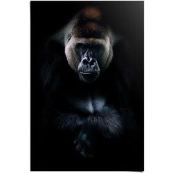 Poster REINDERS "Gorilla Gorilla" Bilder Gr. B/H: 61 cm x 91,5 cm, 1 St., schwarz Poster