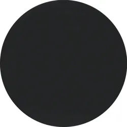 Berker R.1/R.3/Serie 1930/R.classic Funktaste 1fach, schwarz glänzend