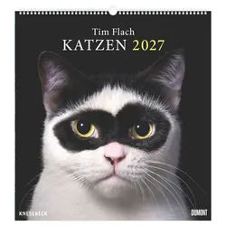 Wandkalender Tim Flach: Katzen 2027 Wandkalender 45x48 cm mit faszinierenden Katzen weiß
