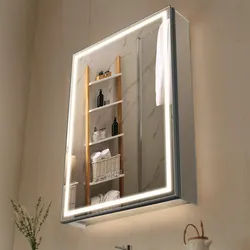 VEVOR beleuchteter Medizinschrank mit Spiegel (50 x 70 cm), Einbau- oder Wandmontage, 3-farbig dimmbarer LED-Badezimmerschrank mit Bodenbeleuchtung, verstellbarer Regalaufbewahrung